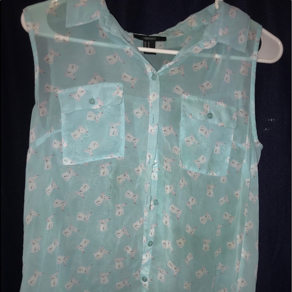Very cute button up sleeveless see through top